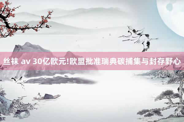 丝袜 av 30亿欧元!欧盟批准瑞典碳捕集与封存野心