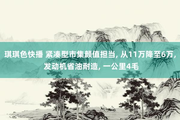 琪琪色快播 紧凑型市集颜值担当， 从11万降至6万， 发动机省油耐造， 一公里4毛