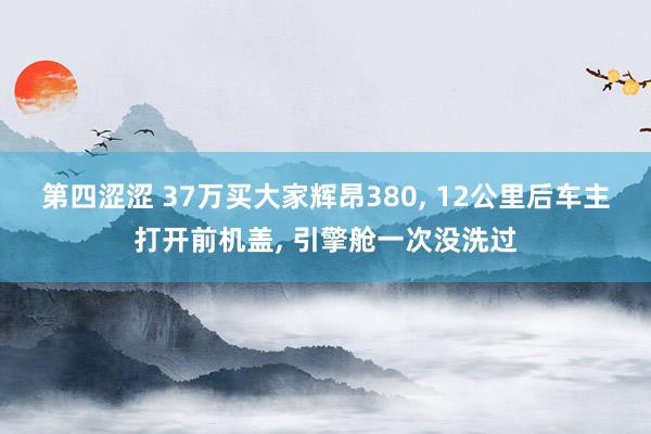 第四涩涩 37万买大家辉昂380， 12公里后车主打开前机盖， 引擎舱一次没洗过