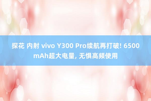 探花 内射 vivo Y300 Pro续航再打破! 6500mAh超大电量， 无惧高频使用