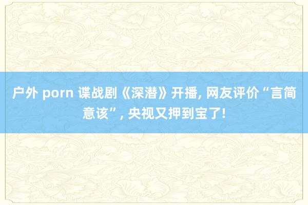 户外 porn 谍战剧《深潜》开播， 网友评价“言简意该”， 央视又押到宝了!