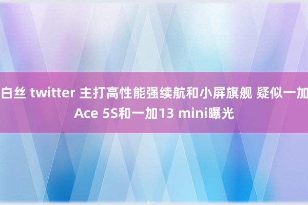 白丝 twitter 主打高性能强续航和小屏旗舰 疑似一加Ace 5S和一加13 mini曝光