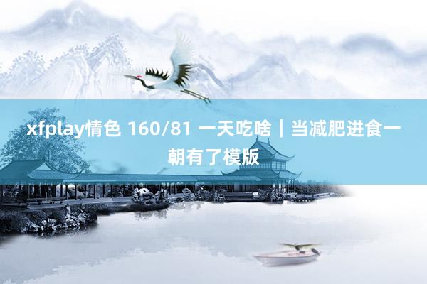 xfplay情色 160/81 一天吃啥|当减肥进食一朝有了模版
