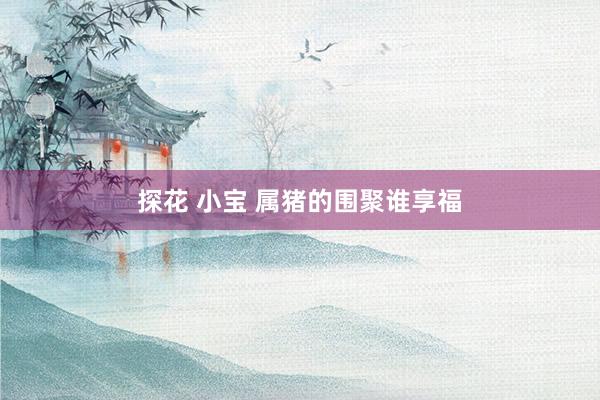 探花 小宝 属猪的围聚谁享福